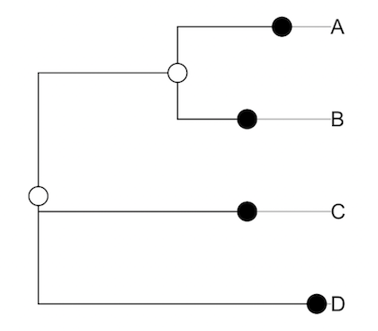 ade4パッケージで描いた系統樹