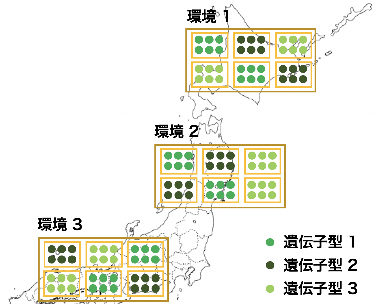 コスタリカの環境問題 - 森林破壊と再植林の減少